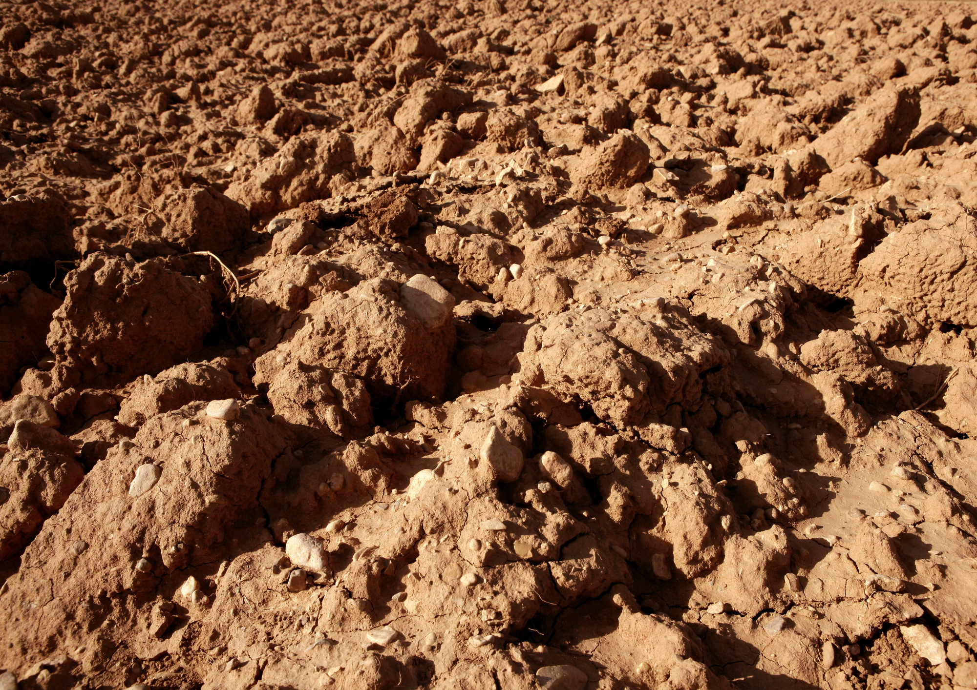 How to Improve Clay Soil Naturally (Without Wrecking It)