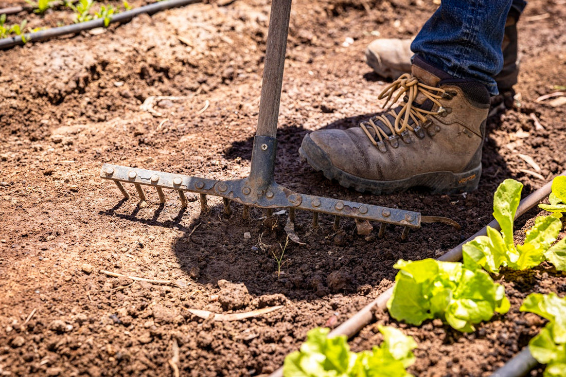 Signs Your Garden Soil Is Unhealthy (and How to Fix It)