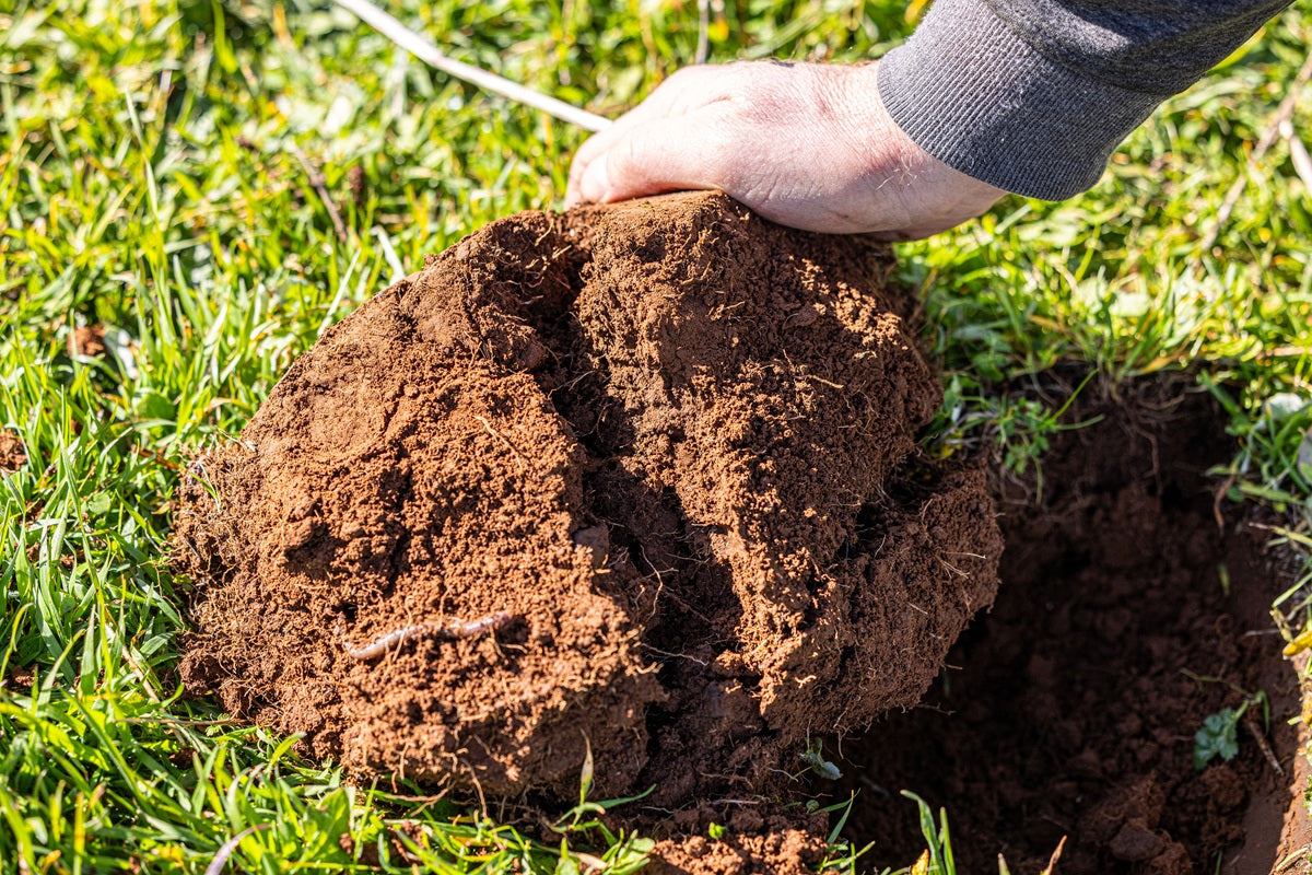 How to Improve Soil Health Before Planting Season