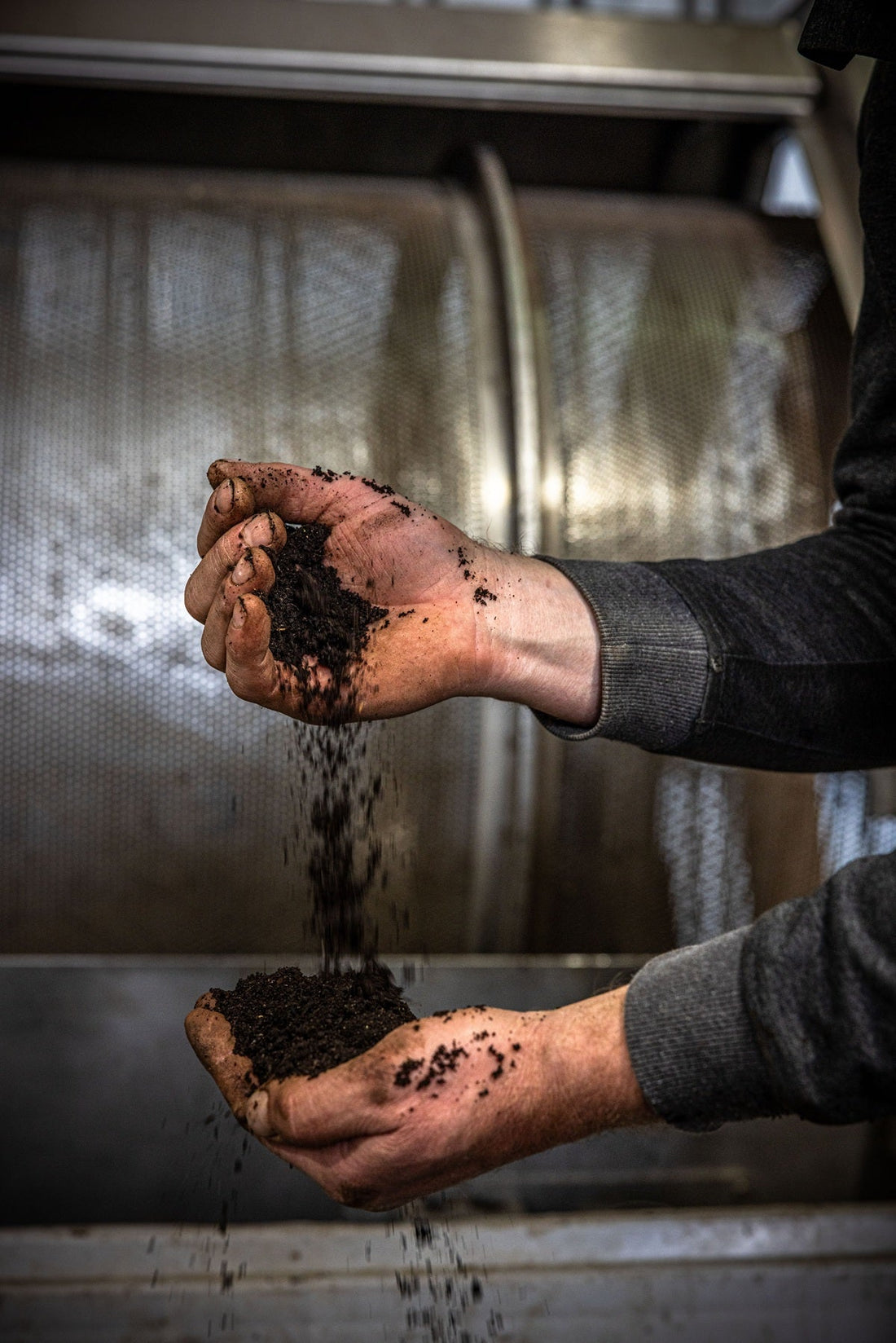 What Are Worm Castings and Why Do They Actually Work?