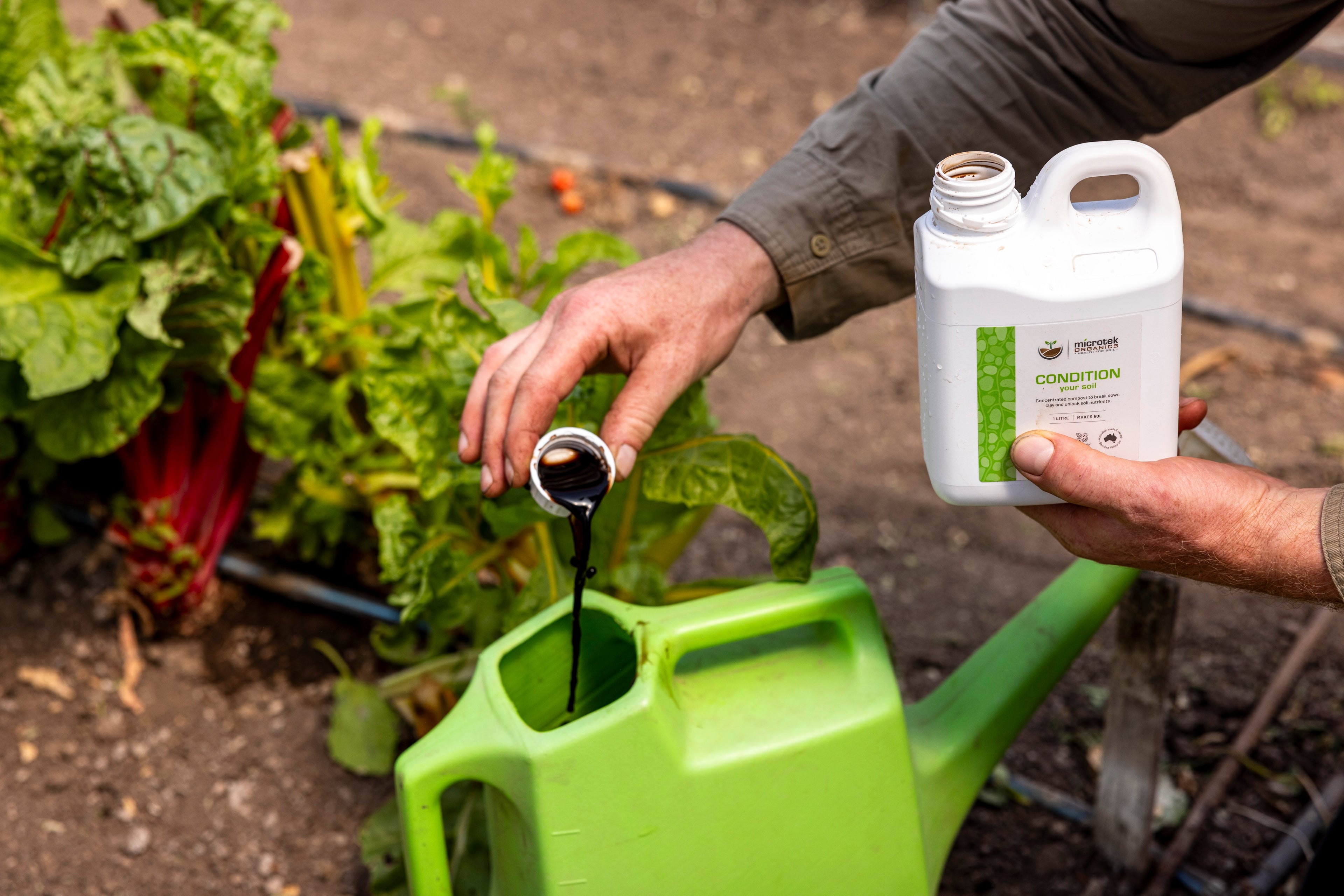 CONDITION YOUR SOIL