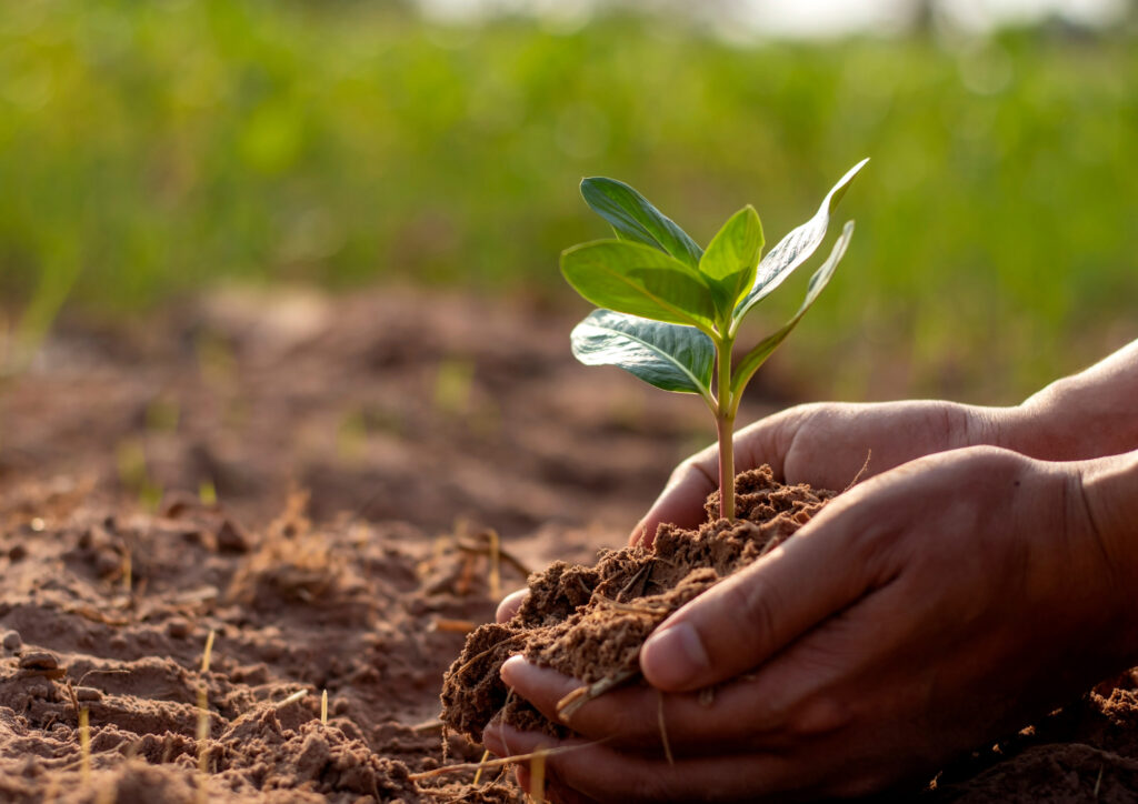 Maximising Soil Health