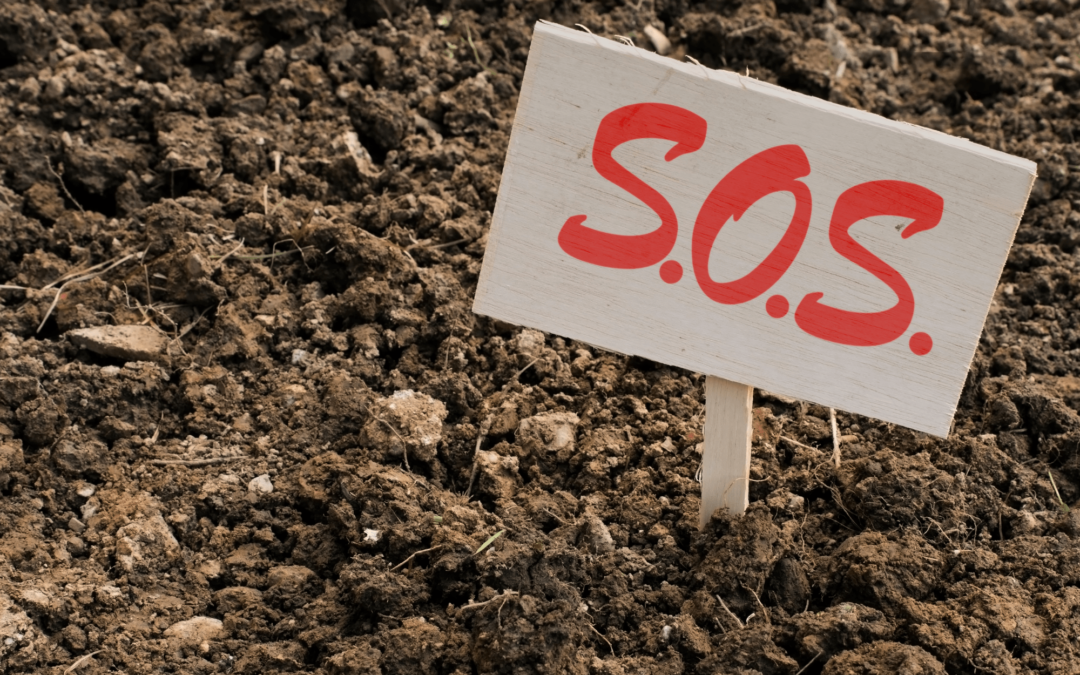 Unlocking the Secrets of Clay Soils